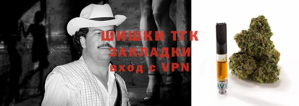 спиды Аркадак