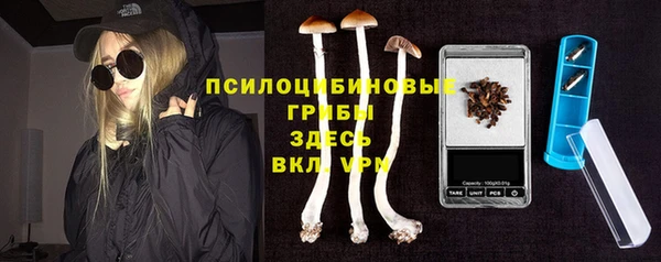 мяу мяу мука Арсеньев