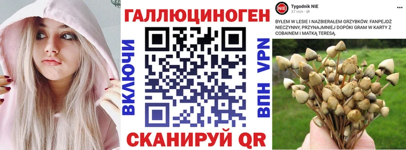 KRAKEN маркетплейс  Кубинка  Псилоцибиновые грибы ЛСД 